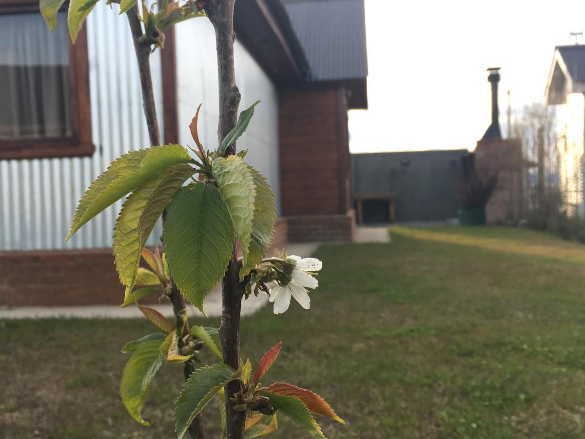 Casa Patagonica Los Frutales El Calafate Ngoại thất bức ảnh