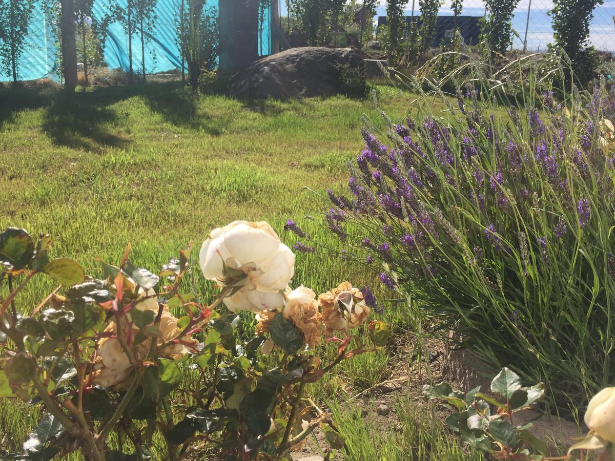 Casa Patagonica Los Frutales El Calafate Ngoại thất bức ảnh